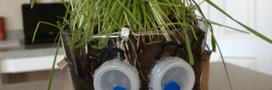 planter1 planter1