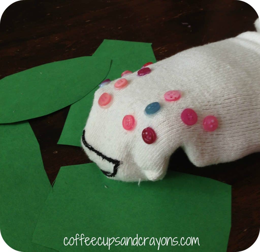 Caterpillar Life Cycle Song