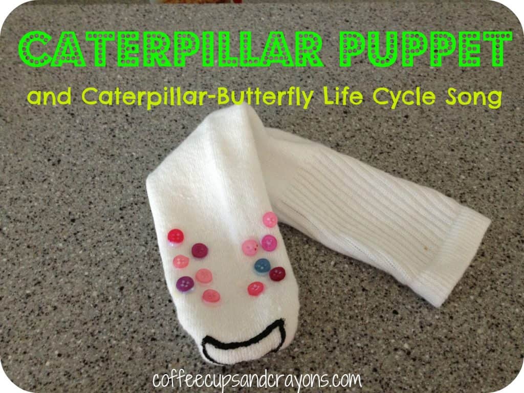 Caterpillar Puppet and Life Cycle Song