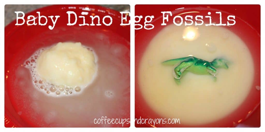 How to Make Fizzy Dinosaur Egg Fossils