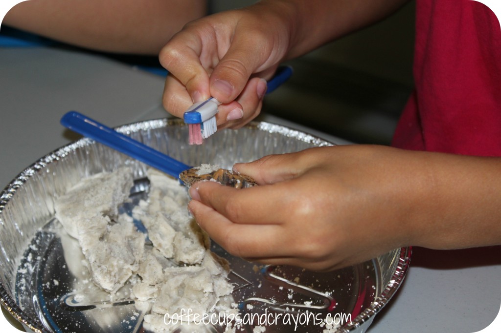 Dinosaur Sand and Cornstarch Fossils