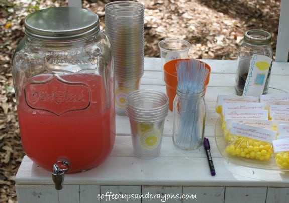 Host a Lemonade Stand