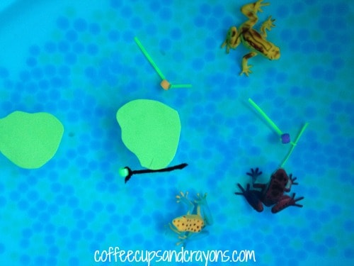 Life Cycle of a Frog Sensory Bin