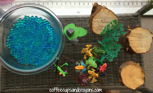 Life Cycle of a Frog Supplies