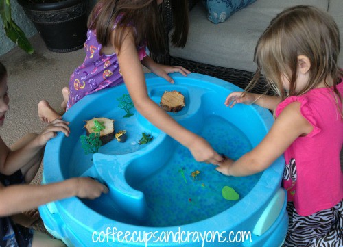 The Frog Life Cycle Activity