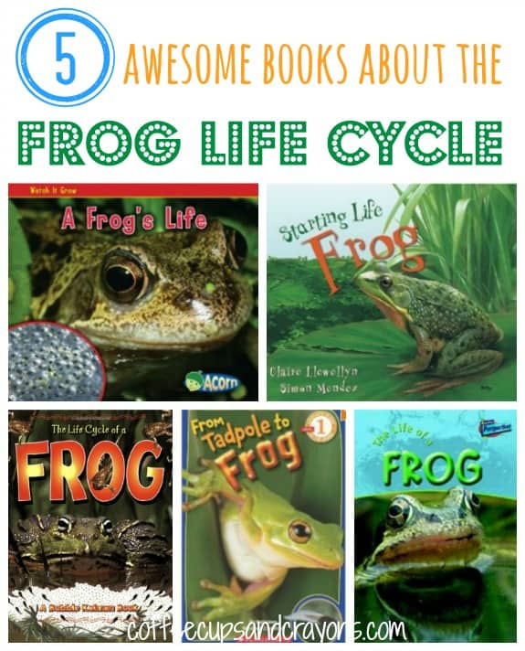 The Frog Life Cycle Books for Kids