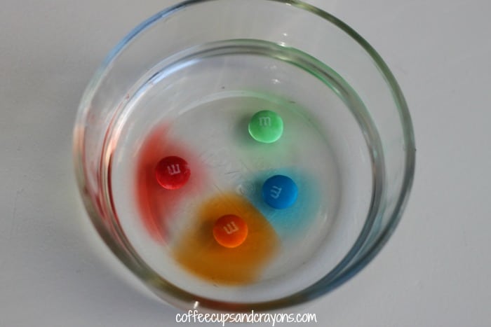 Dissolve the M off and M&M candy experiment!
